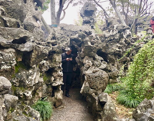 苏州狮子林的主要特点