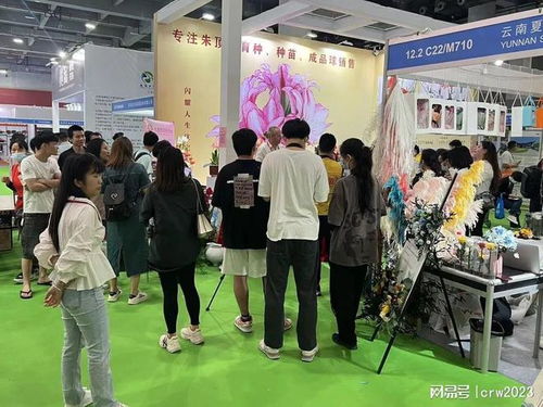 云南昆明：鲜花盛开的摇篮