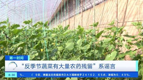 如何减少农药残留？