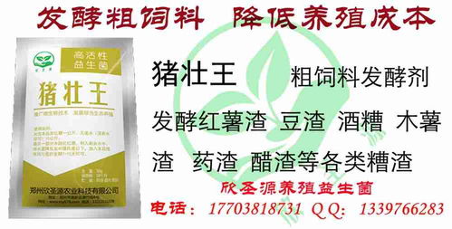 干豆腐渣喂猪饲料比例是多少？使用豆渣喂猪需要注意哪些事项？