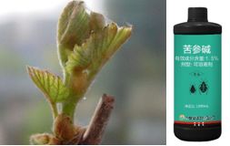 使用方法与注意事项