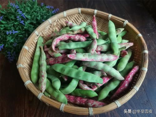 花生+糖果：甜蜜的诱惑