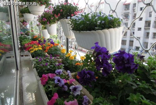 每个季节者阝有些特殊的植物值得人们栽种