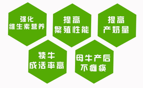 如何通过饲料研发创新，实现省15%配方方案，降低成本？