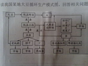 中国Zui大的有机肥生产企业揭秘