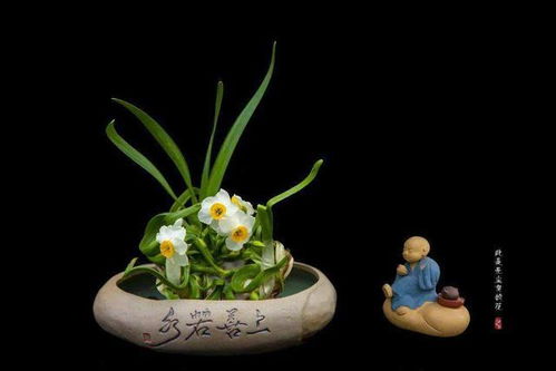 水仙花种植时如何选择合适的花盆和土壤