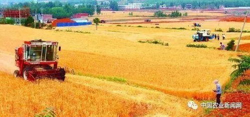 国家重点扶持下的苗木种植补贴政策详解