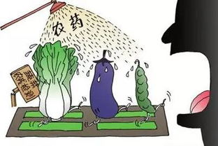 农药对宠物有害吗？专家这样说