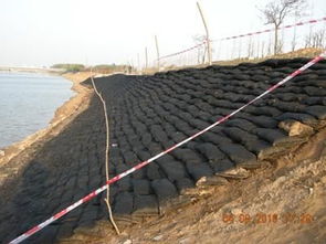 酸碱地专用配方， 黄河流域种植难题破解