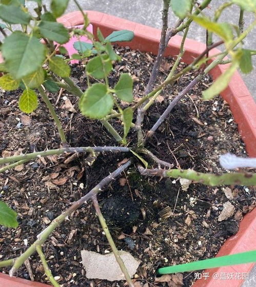 养护细节，不容忽视