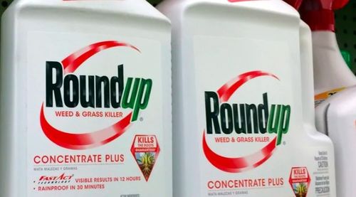 第六步：加入购物车