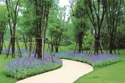 园林植物配置的艺术之道