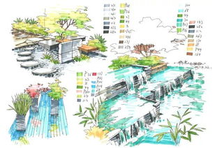 接下来就是选植物了