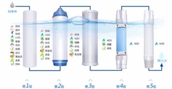 井畔植花，水质净化神器！