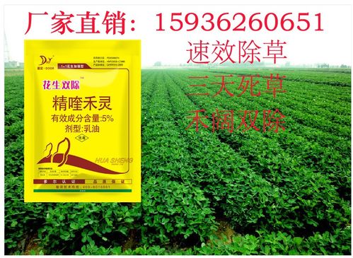 花生出苗后用哪种除草剂最有效