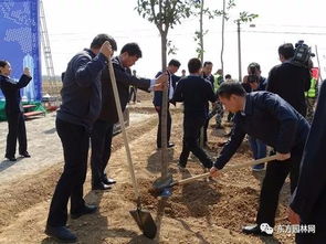 山西冬季植树造林的技术要点详解