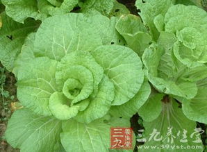 平安间隔期是啥意思？