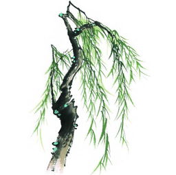 柳树在园林中的妙用，你知道吗嗯？