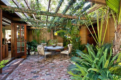 适合北方庭院种植的名贵树木