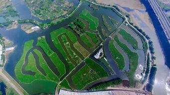 市场的规划同样重要， 欧洲苗圃产品tong过拍卖市场、订单生产、电子商务等方式销售