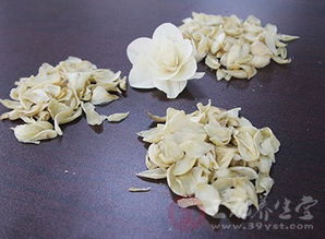 百合花有哪些种类？它们各自的特征和用途是什么