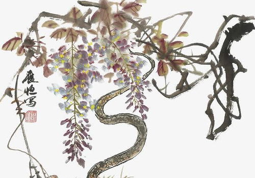 木蛇：才华横溢的智慧化身