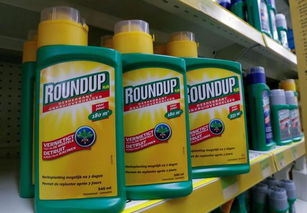 采样分析， 寻求真相