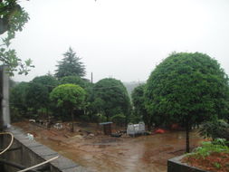 历史的沉淀， 现代的活力