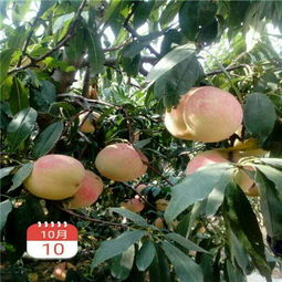 第一关：选核要挑