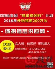 黔东献有哪些双胞胎猪饲料厂？双胞胎股份有限公司的猪饲料质量如何？