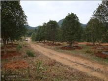 那具体位置咋个找呢？