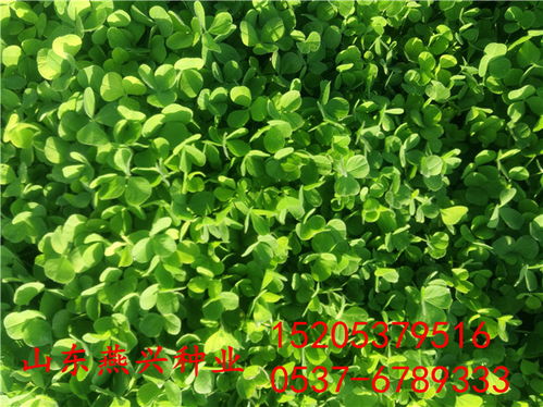 新手必踩的三大坑