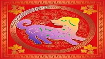 宝石花，象征永恒的爱情与幸福