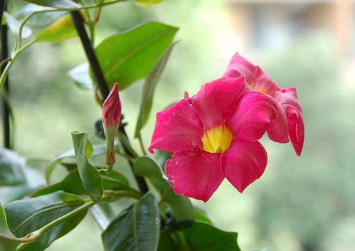 防治虫害的方法