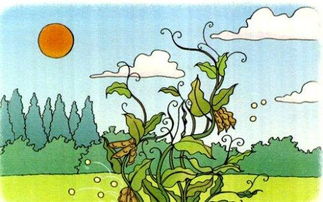 植物妈妈还有哪些奇妙方式？种子传播的秘密等你揭晓