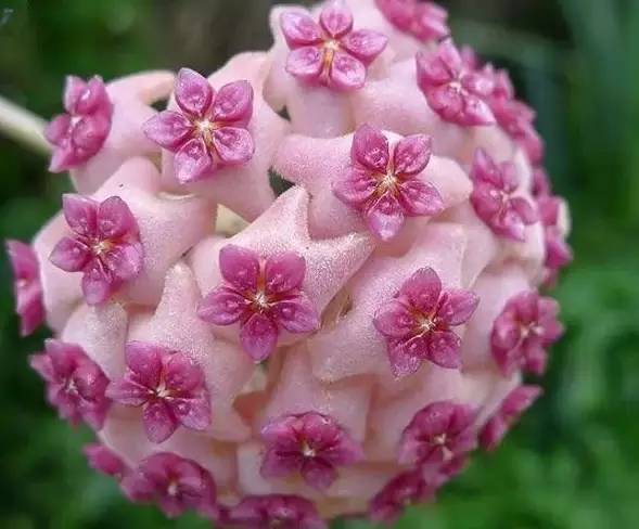 惯与大自然的句子与生命的感悟