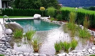 小型游泳池景观设计：选材与工艺的奇妙之旅