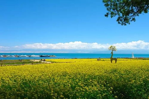 那些年景区的教训