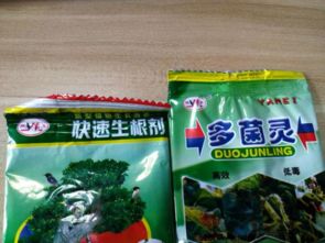 多菌灵浇花安全吗？使用时有哪些注意事项和正确方法？