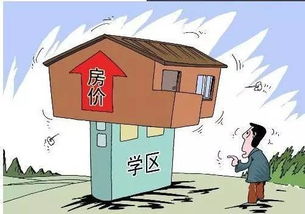 供需博弈背后的真相