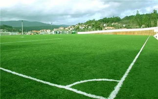 水边草坪的生死考验