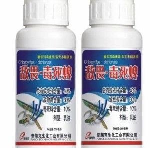 昆虫界的“隐形杀手”：那些会杀虫的微生物