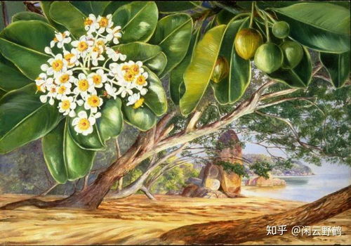 园林树木的生态和谐之美