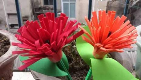 康乃馨剪法：花心留一半
