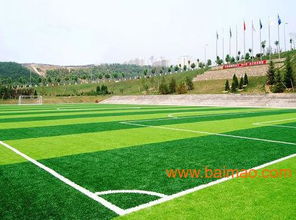 深圳某足球场的混播方案