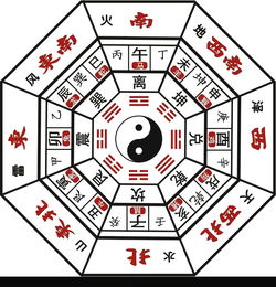 如何根据节节高生长阶段，逐步调整浇水频率并掌握正确的浇水技巧