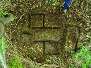 植物与土地：肥沃的黑土地