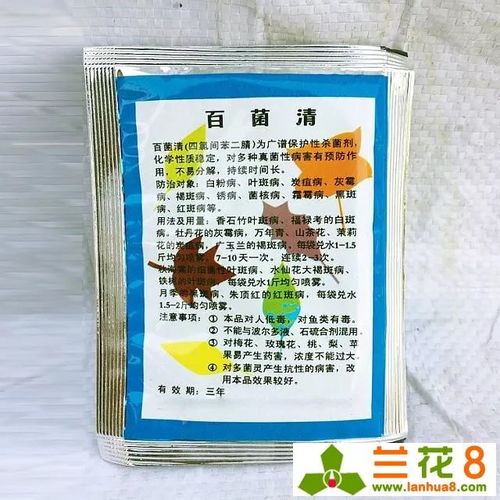 交替使用，效果geng好？