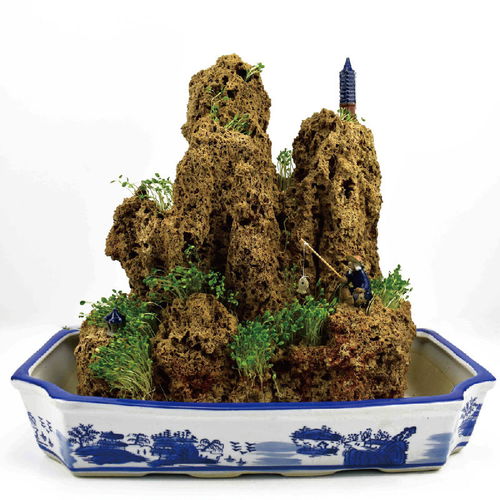 上水石上适合种植喜湿的植物,菖蒲在野外就是生长在潮湿的河边,hen多就附在石头上,上水石上适合种植菖蒲,Neng保证菖蒲hen好的生长,不需要过多的管...