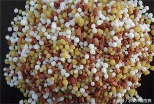 施肥量，要适量